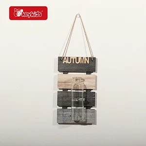 Creative Decorative Wall-mounted Flower Plant Bottle W09D141
